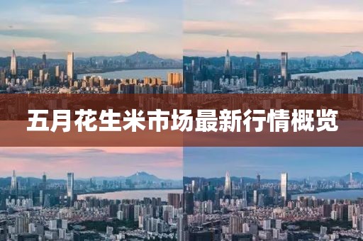 五月花生米市场最新行情概览