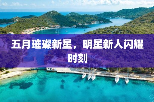 五月璀璨新星，明星新人闪耀时刻