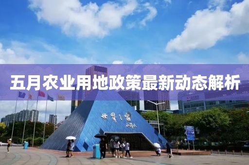 五月农业用地政策最新动态解析
