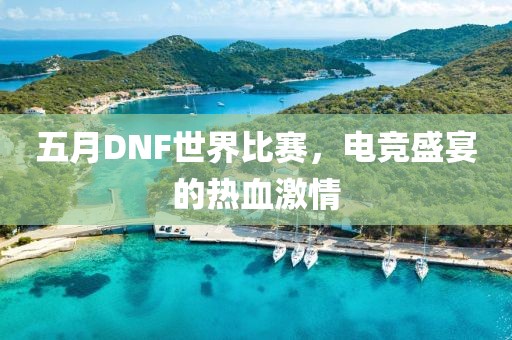 五月DNF世界比赛，电竞盛宴的热血激情