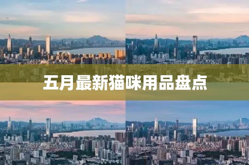 五月最新猫咪用品盘点