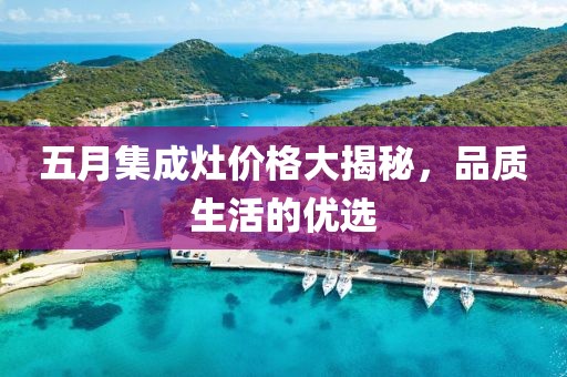 五月集成灶价格大揭秘，品质生活的优选