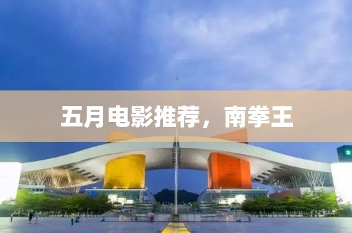 五月电影推荐，南拳王