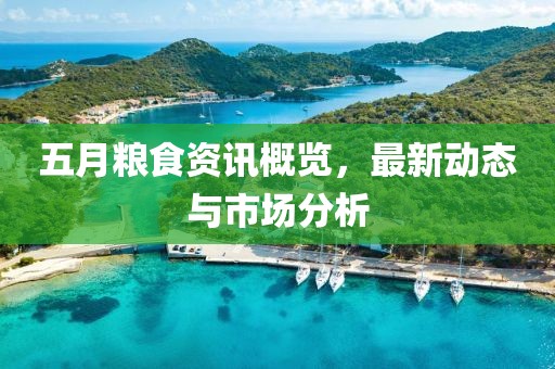 五月粮食资讯概览，最新动态与市场分析