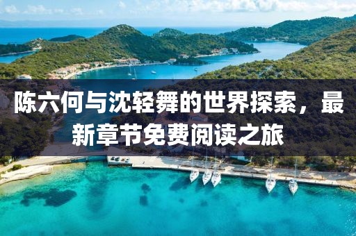 陈六何与沈轻舞的世界探索，最新章节免费阅读之旅