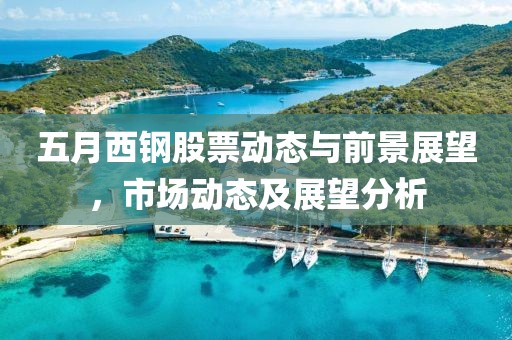 五月西钢股票动态与前景展望，市场动态及展望分析