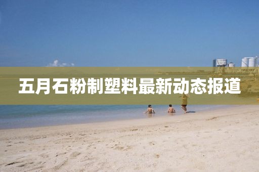 五月石粉制塑料最新动态报道