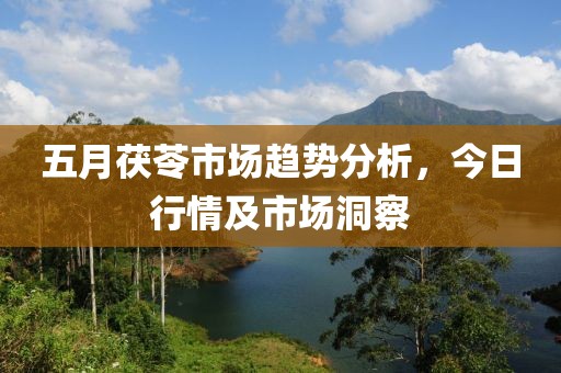 五月茯苓市场趋势分析，今日行情及市场洞察