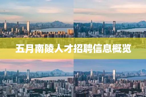 五月南陵人才招聘信息概览