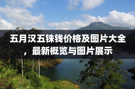 五月汉五铢钱价格及图片大全，最新概览与图片展示