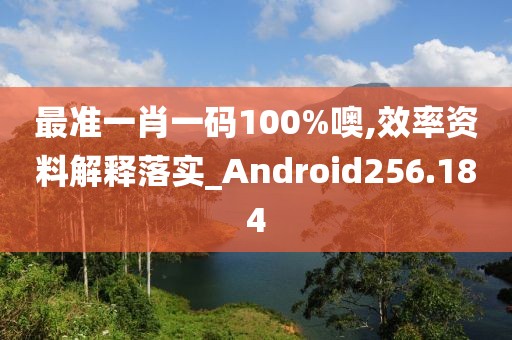 最准一肖一码100%噢,效率资料解释落实_Android256.184