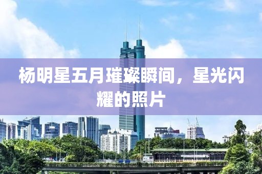 杨明星五月璀璨瞬间，星光闪耀的照片