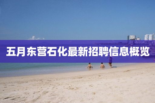 五月东营石化最新招聘信息概览