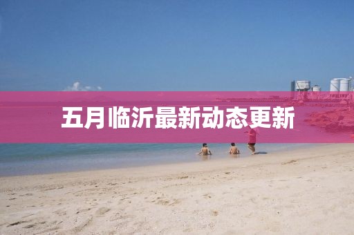 五月临沂最新动态更新