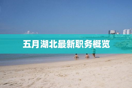 五月湖北最新职务概览