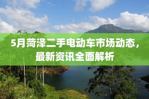 5月菏泽二手电动车市场动态，最新资讯全面解析