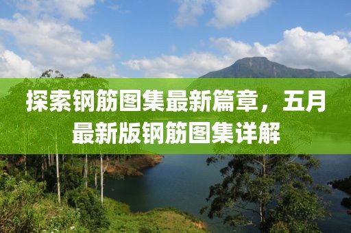 探索钢筋图集最新篇章，五月最新版钢筋图集详解