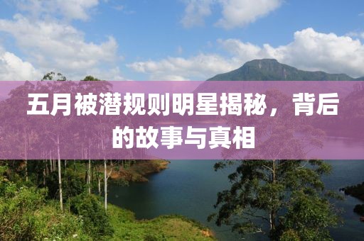 五月被潜规则明星揭秘，背后的故事与真相