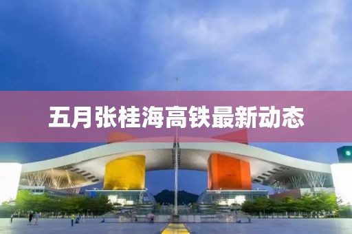 五月张桂海高铁最新动态