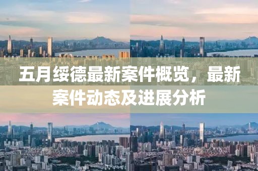 五月绥德最新案件概览，最新案件动态及进展分析