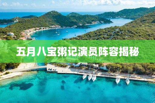 五月八宝粥记演员阵容揭秘