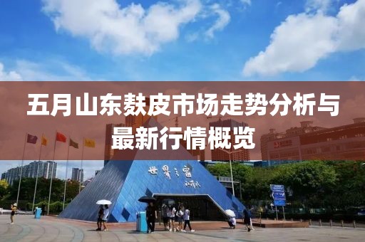 五月山东麸皮市场走势分析与最新行情概览