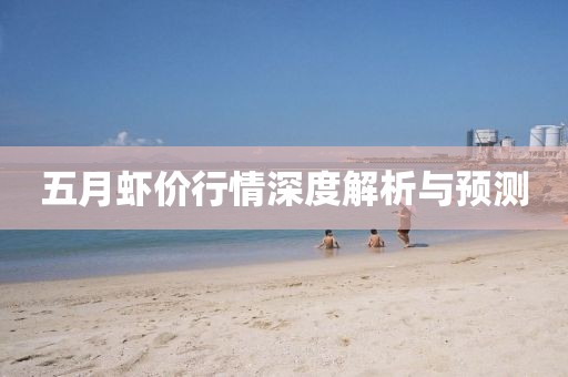 五月虾价行情深度解析与预测
