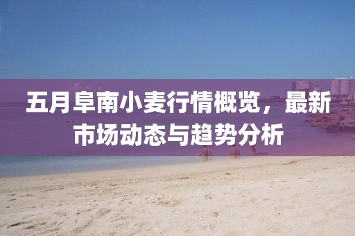 五月阜南小麦行情概览，最新市场动态与趋势分析