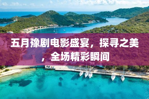 五月豫剧电影盛宴，探寻之美，全场精彩瞬间