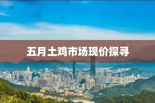 五月土鸡市场现价探寻