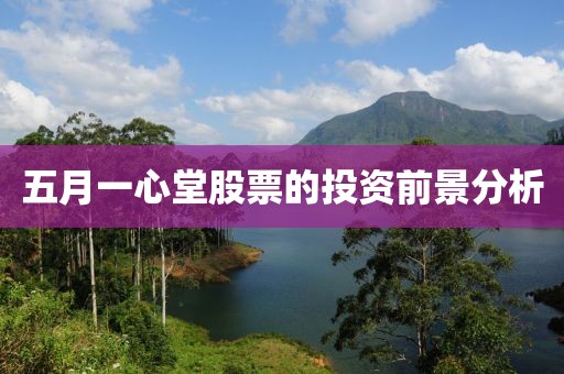 五月一心堂股票的投资前景分析