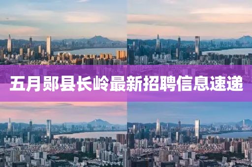 五月郧县长岭最新招聘信息速递