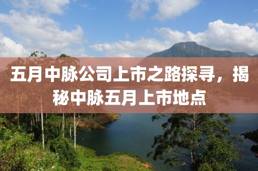 五月中脉公司上市之路探寻，揭秘中脉五月上市地点