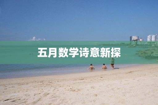 五月数学诗意新探