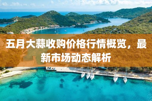 五月大蒜收购价格行情概览，最新市场动态解析