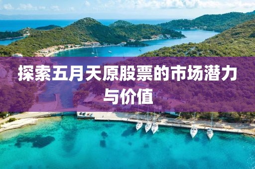 探索五月天原股票的市场潜力与价值