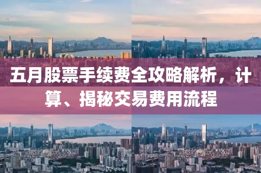 五月股票手续费全攻略解析，计算、揭秘交易费用流程