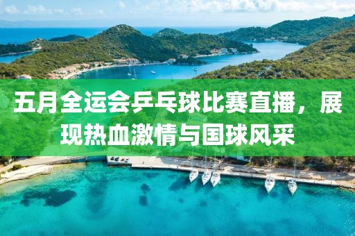 五月全运会乒乓球比赛直播，展现热血激情与国球风采