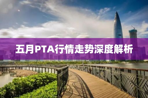 五月PTA行情走势深度解析