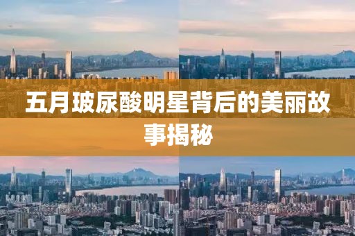 五月玻尿酸明星背后的美丽故事揭秘