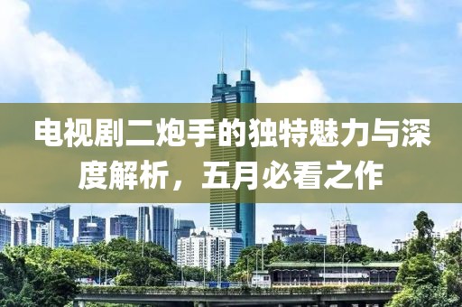 电视剧二炮手的独特魅力与深度解析，五月必看之作