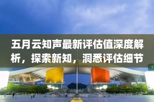 五月云知声最新评估值深度解析，探索新知，洞悉评估细节