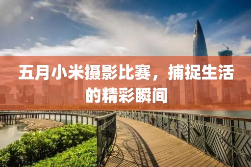 五月小米摄影比赛，捕捉生活的精彩瞬间