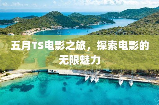 五月TS电影之旅，探索电影的无限魅力