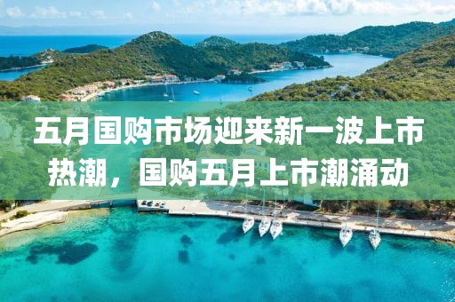 五月国购市场迎来新一波上市热潮，国购五月上市潮涌动