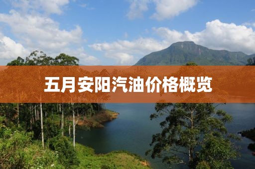 五月安阳汽油价格概览