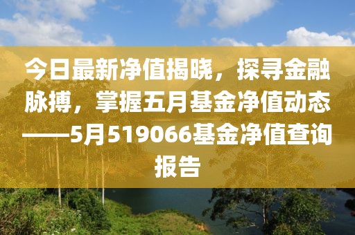 今日最新净值揭晓，探寻金融脉搏，掌握五月基金净值动态——5月519066基金净值查询报告