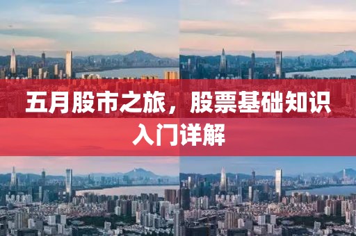 五月股市之旅，股票基础知识入门详解