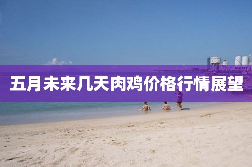 五月未来几天肉鸡价格行情展望
