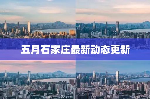 五月石家庄最新动态更新